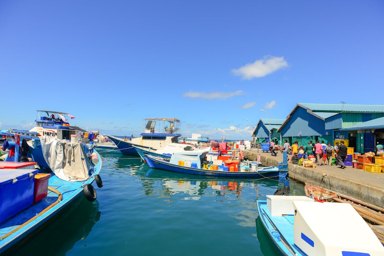Vibrant fishing boats and market activity at a lively coastal harbor backdrop.